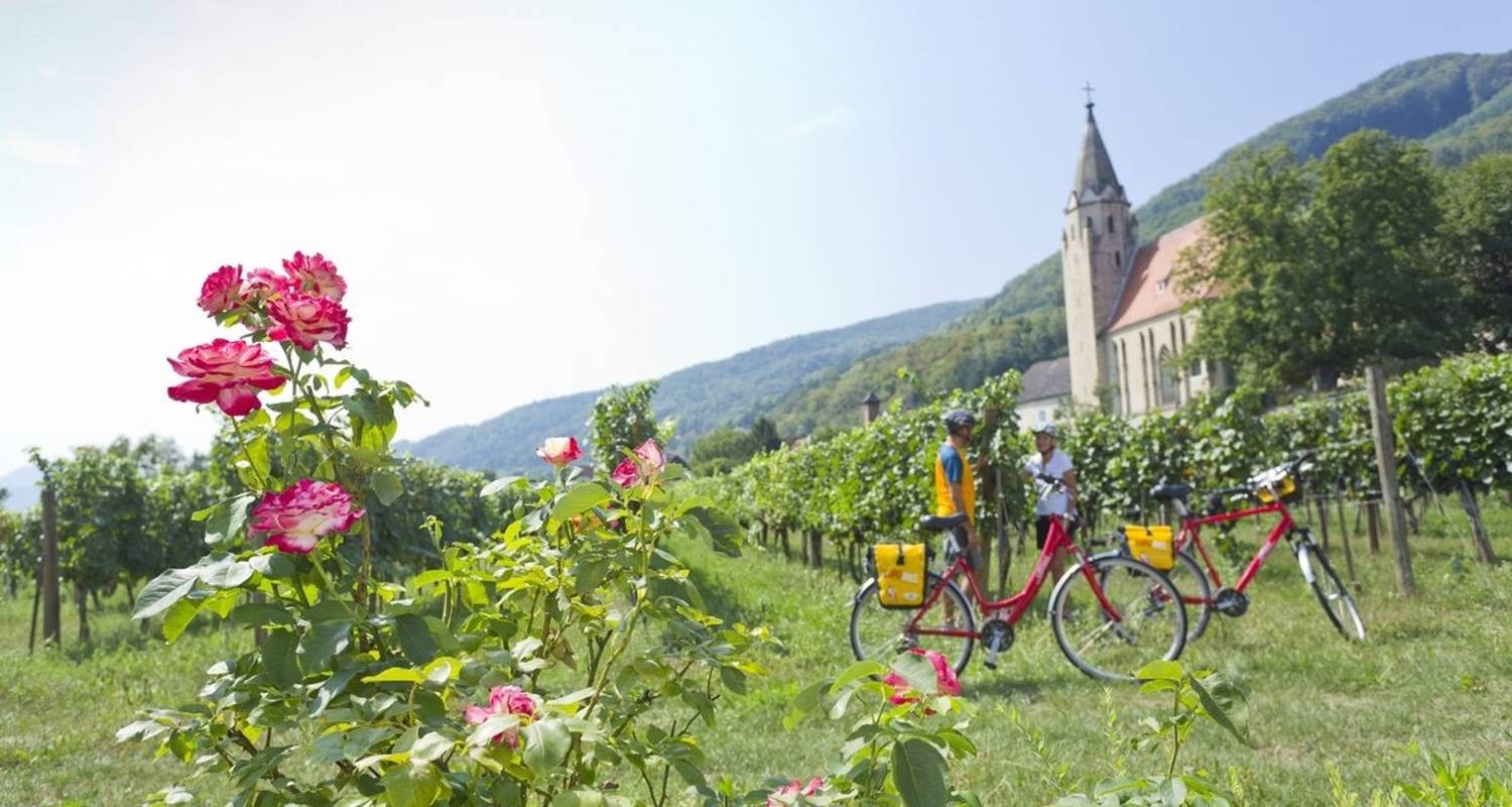 Ruta en bici del Danubio - Eurobike