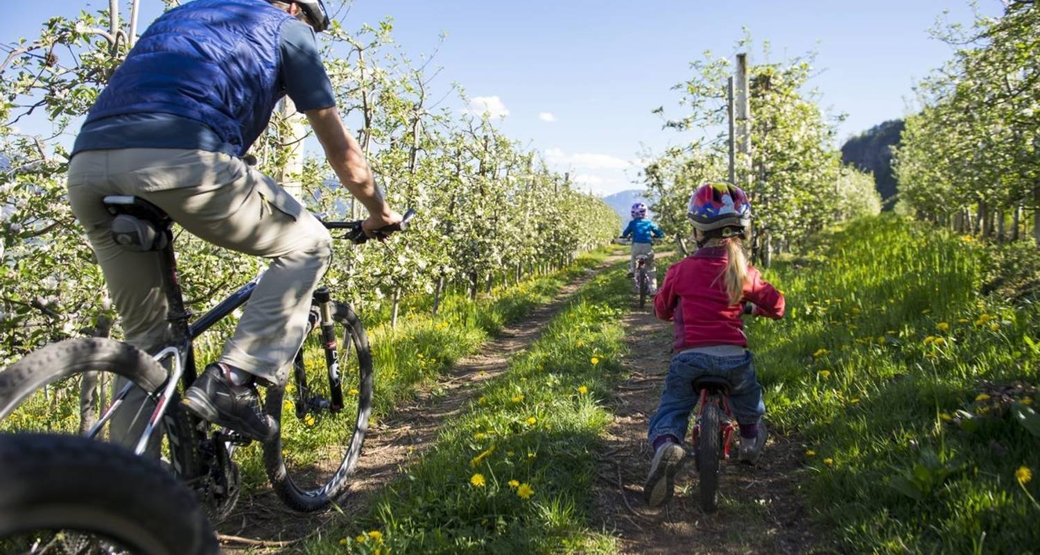 Circuits et voyages Personnalisé – Trentin-Haut-Adige