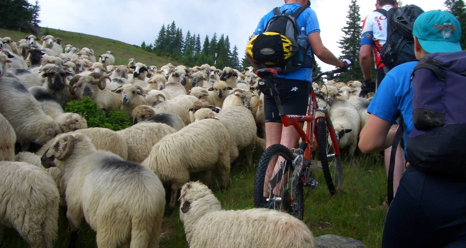Transylvania by bike