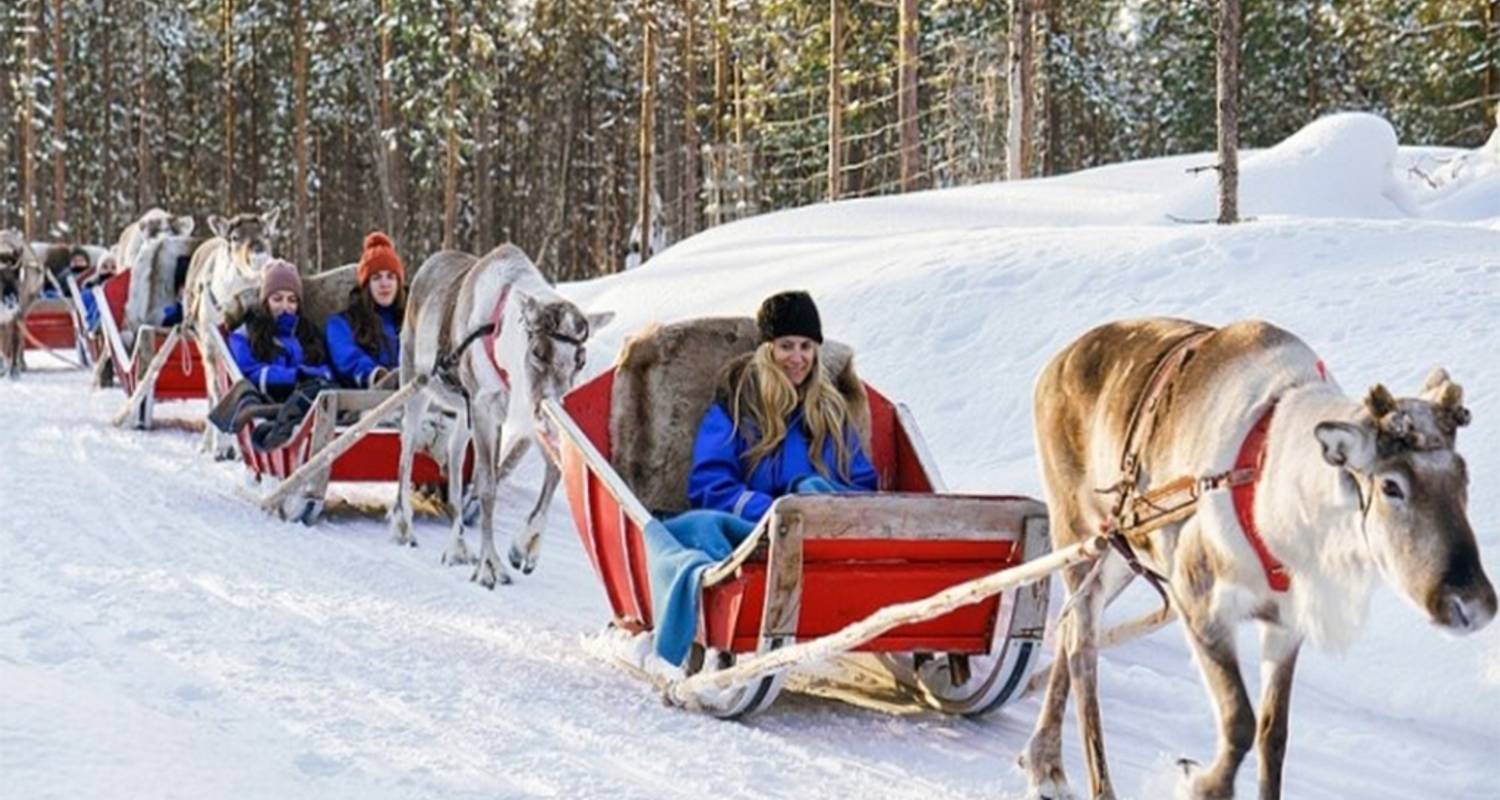 Lapland Tours & Trips