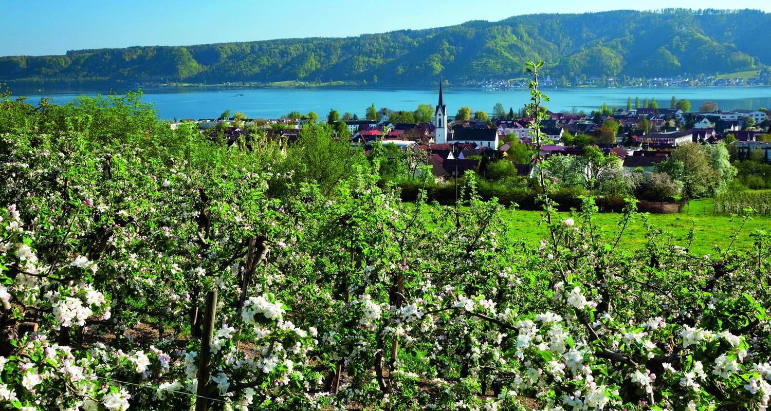 Group Tours & Trips in Lake Constance