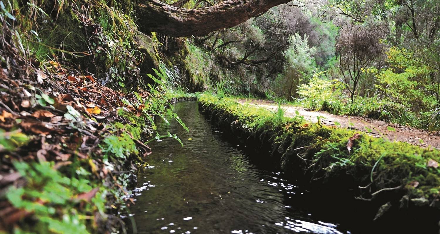 wandern auf madeira - portugal