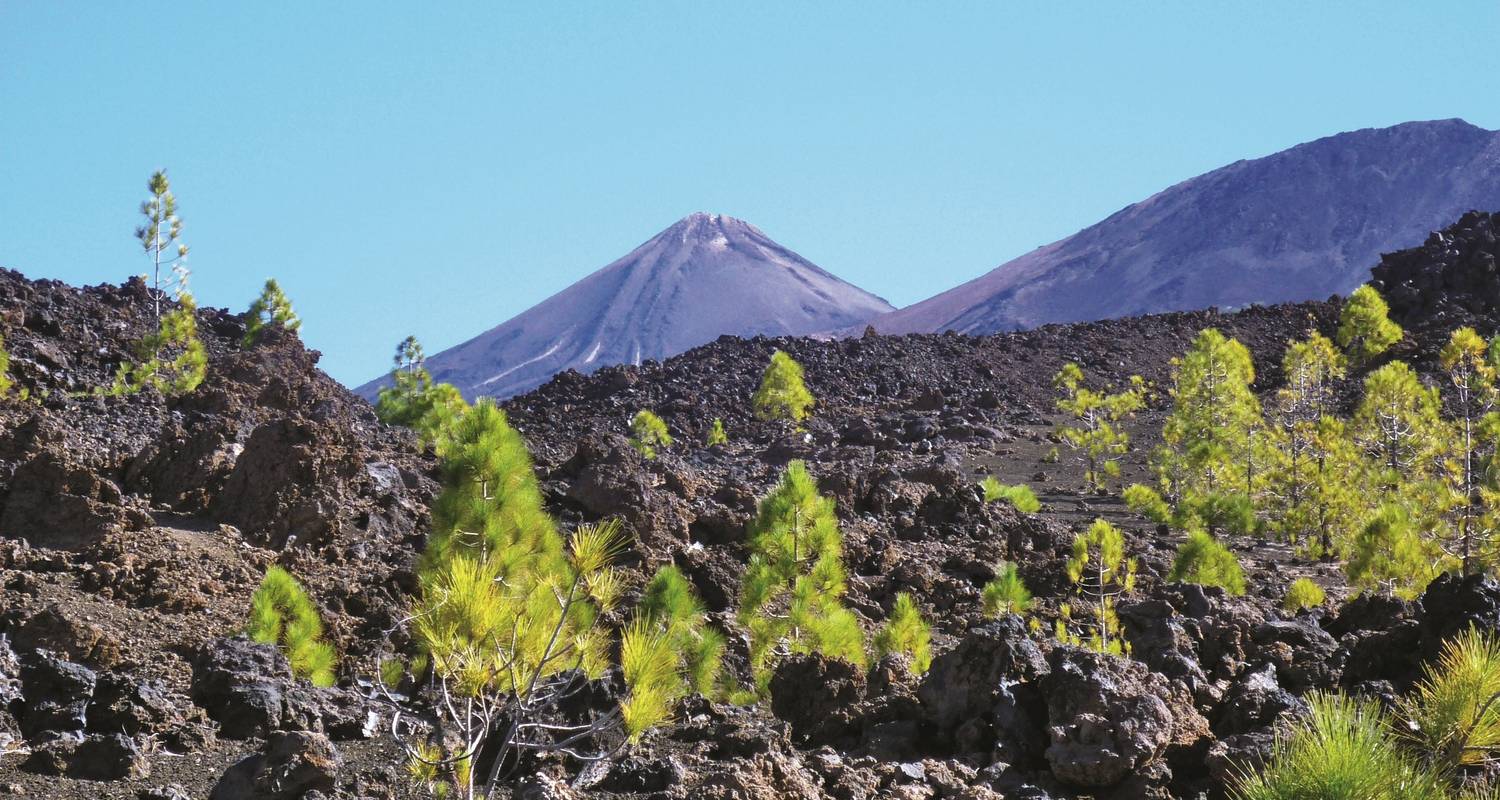 Atlantic Tours from Tenerife