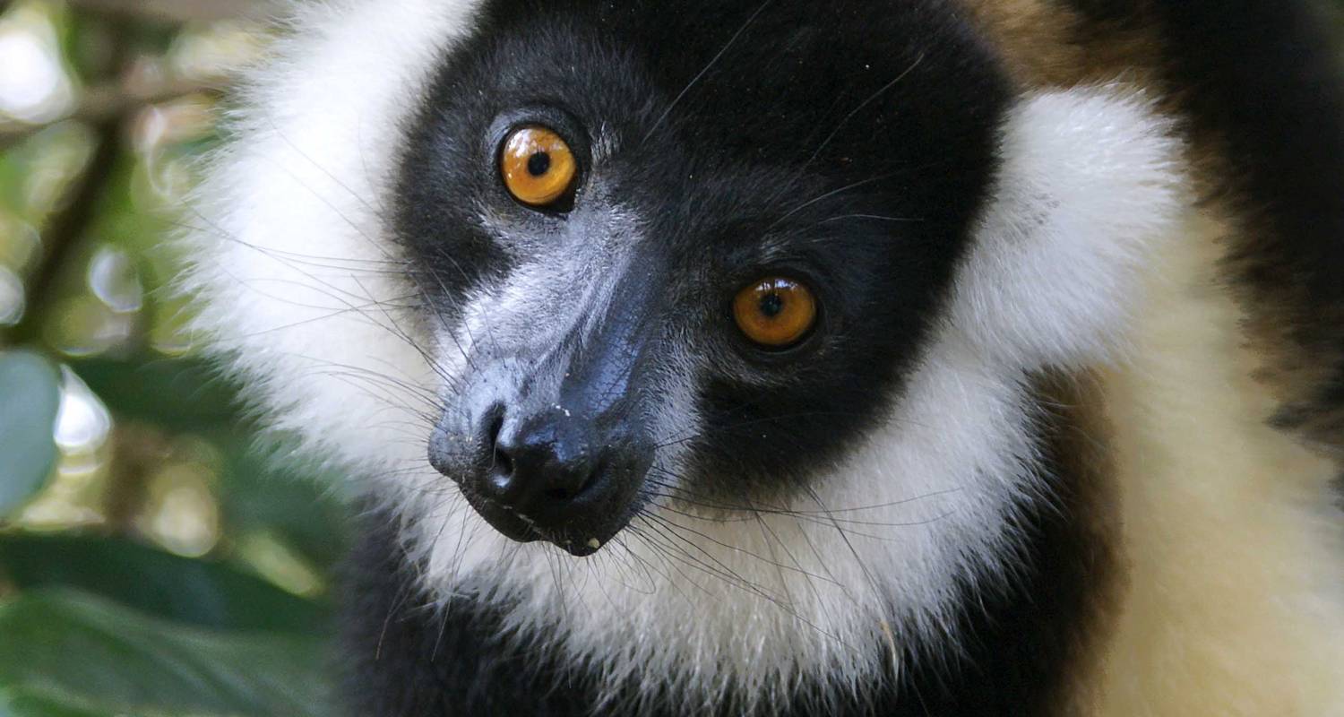 Madagascar Beach Tours