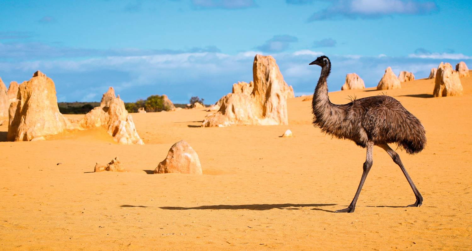 Australien: Die ausführliche Reise - SKR Reisen