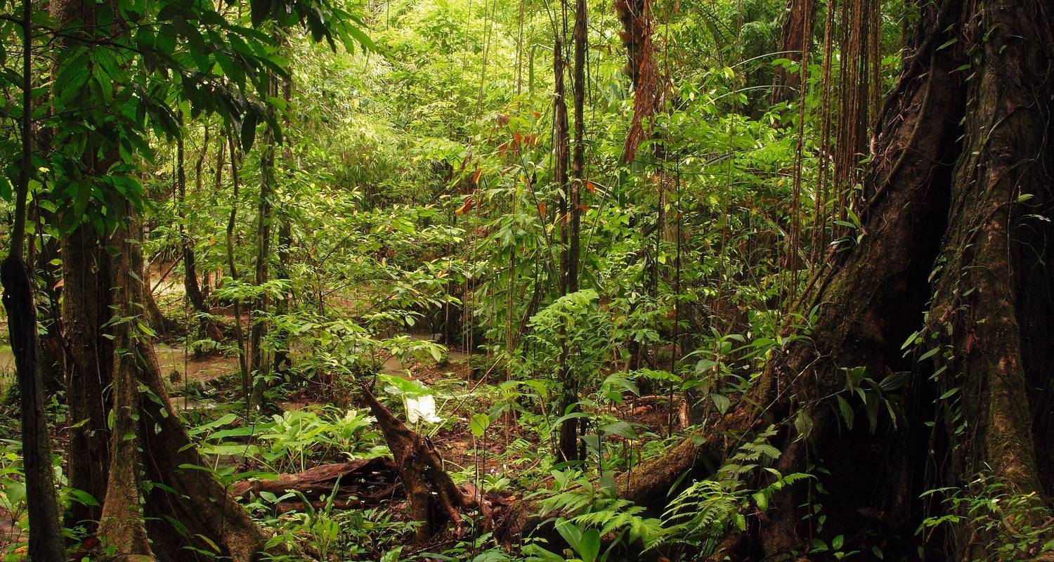 Thailand: Höhepunkte im Süden - SKR Reisen