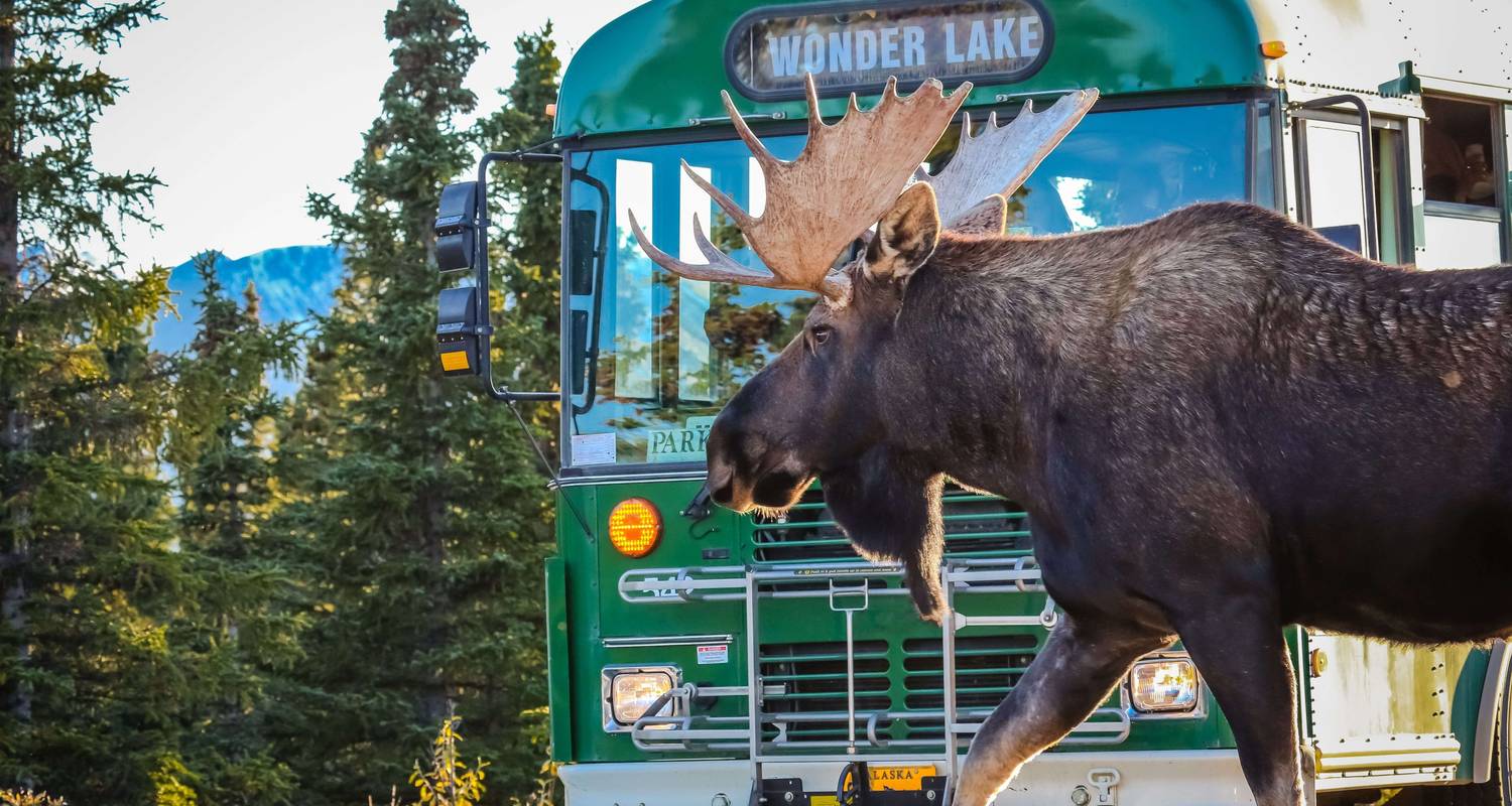 Alaska & Yukon: Höhepunkte - SKR Reisen