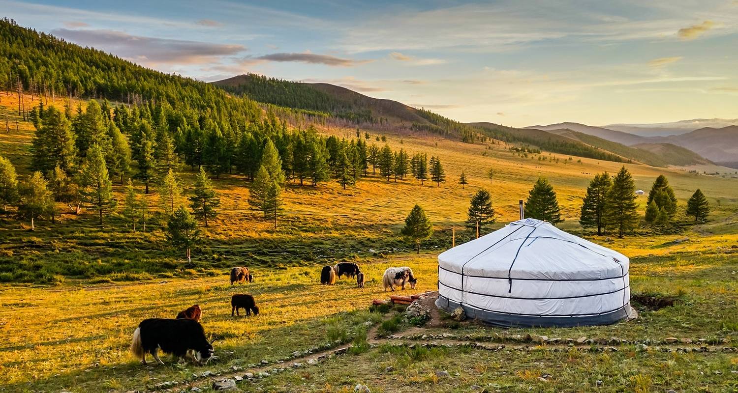 Customized 2 Weeks Mongolia Vacation with Private Guide and Driver