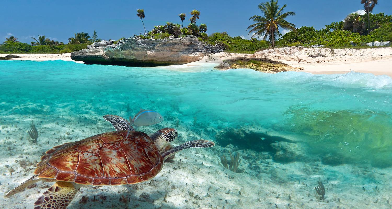Rundreise Cancún und Riviera Maya - Discovery Nomads