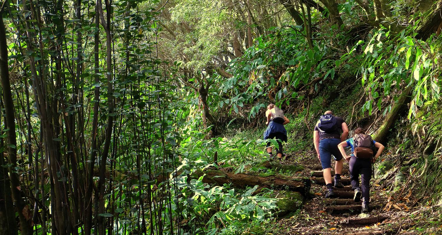 São Miguel Soft Hiking - Futurismo Azores Adventures