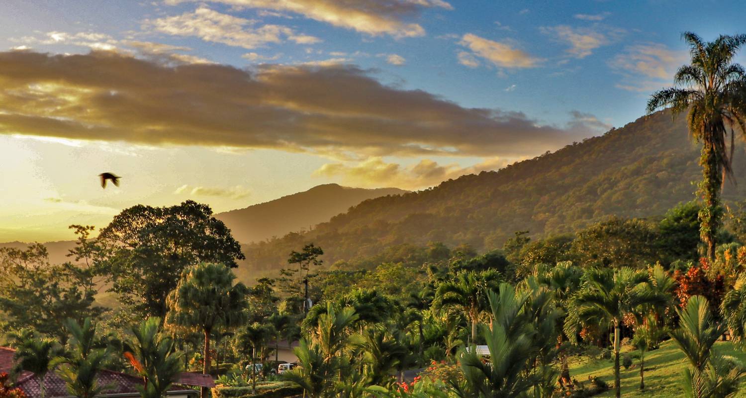 Die Naturwunder Costa Ricas - Wingbuddy