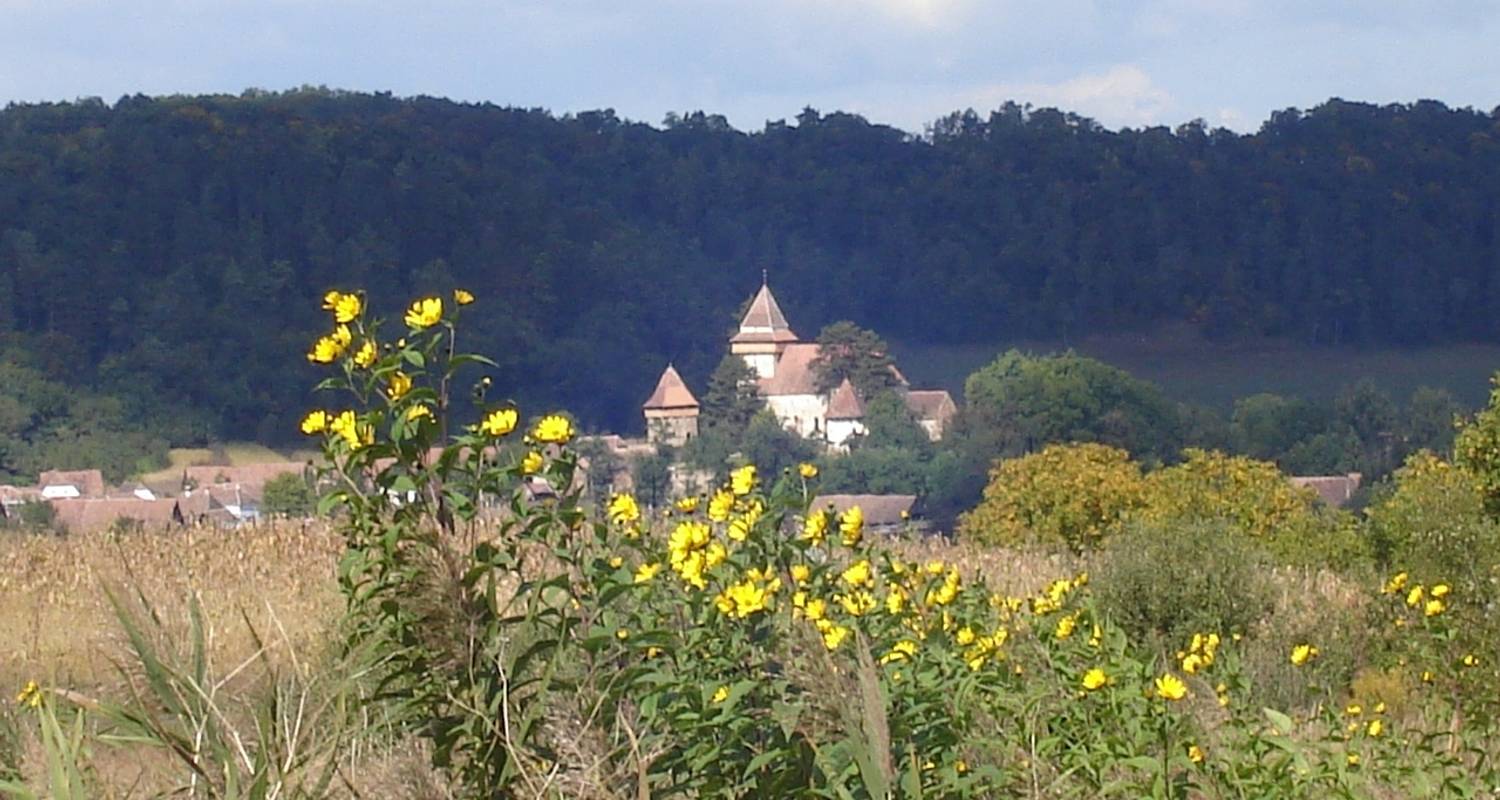 Self Guided Bicycle Tour in Transylvania - Carpathian Travel Center