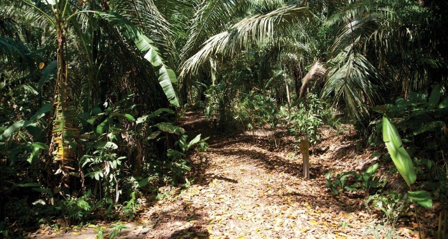 Parcialmente guiado circuitos en Tambopata