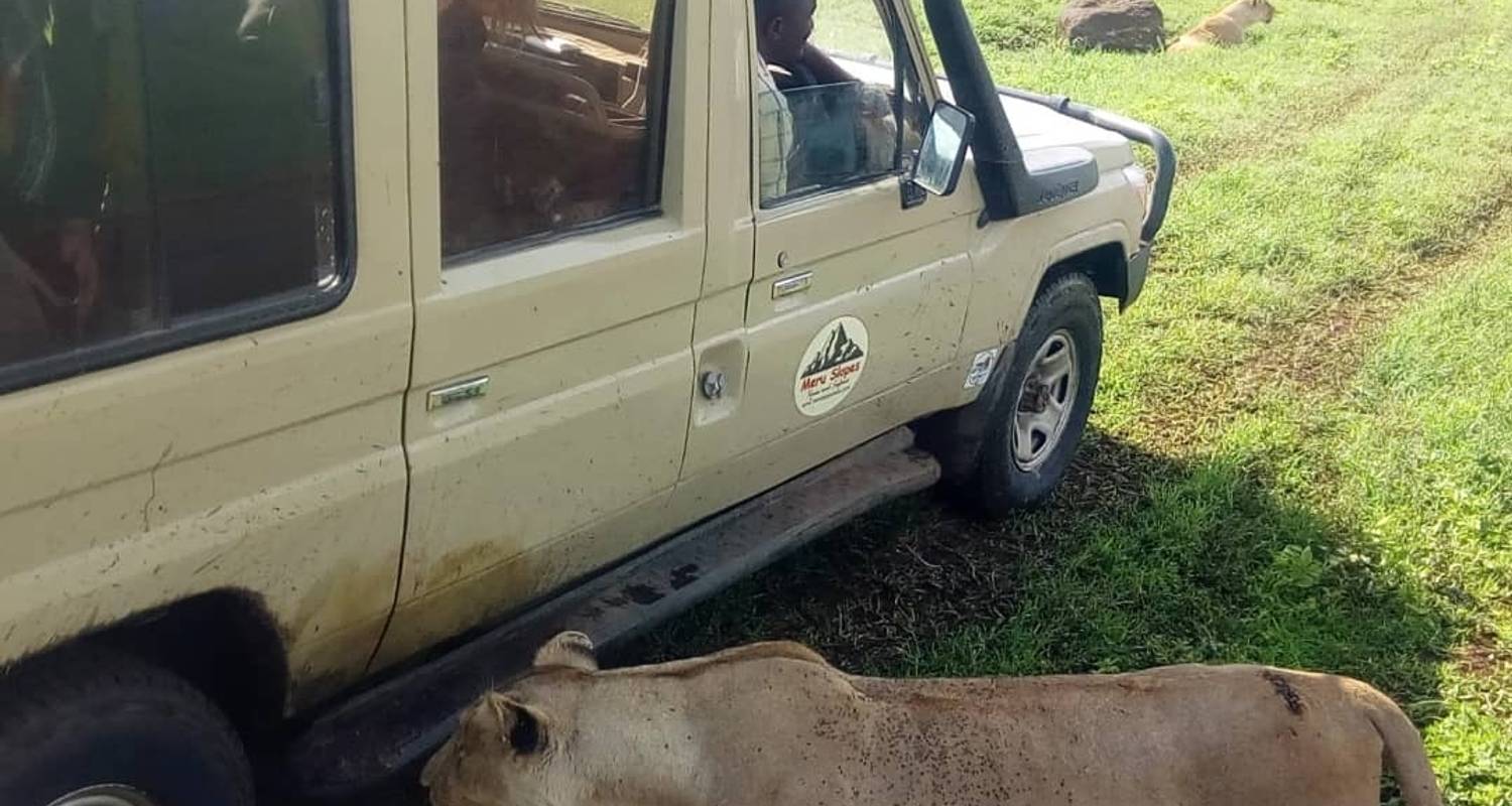 Tarangire National Park Adventure Tours