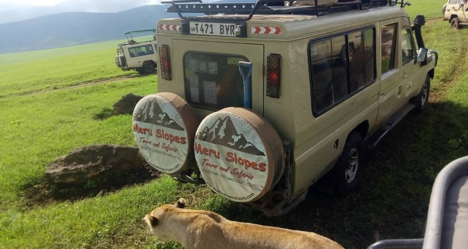 2 jours de safari en camping dans le Tarangire et le Ngorongoro - Meru Slopes Tours and Safaris ltd