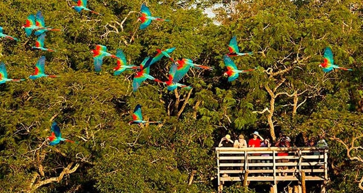 The best time to visit the Pantanal - Bonito Way