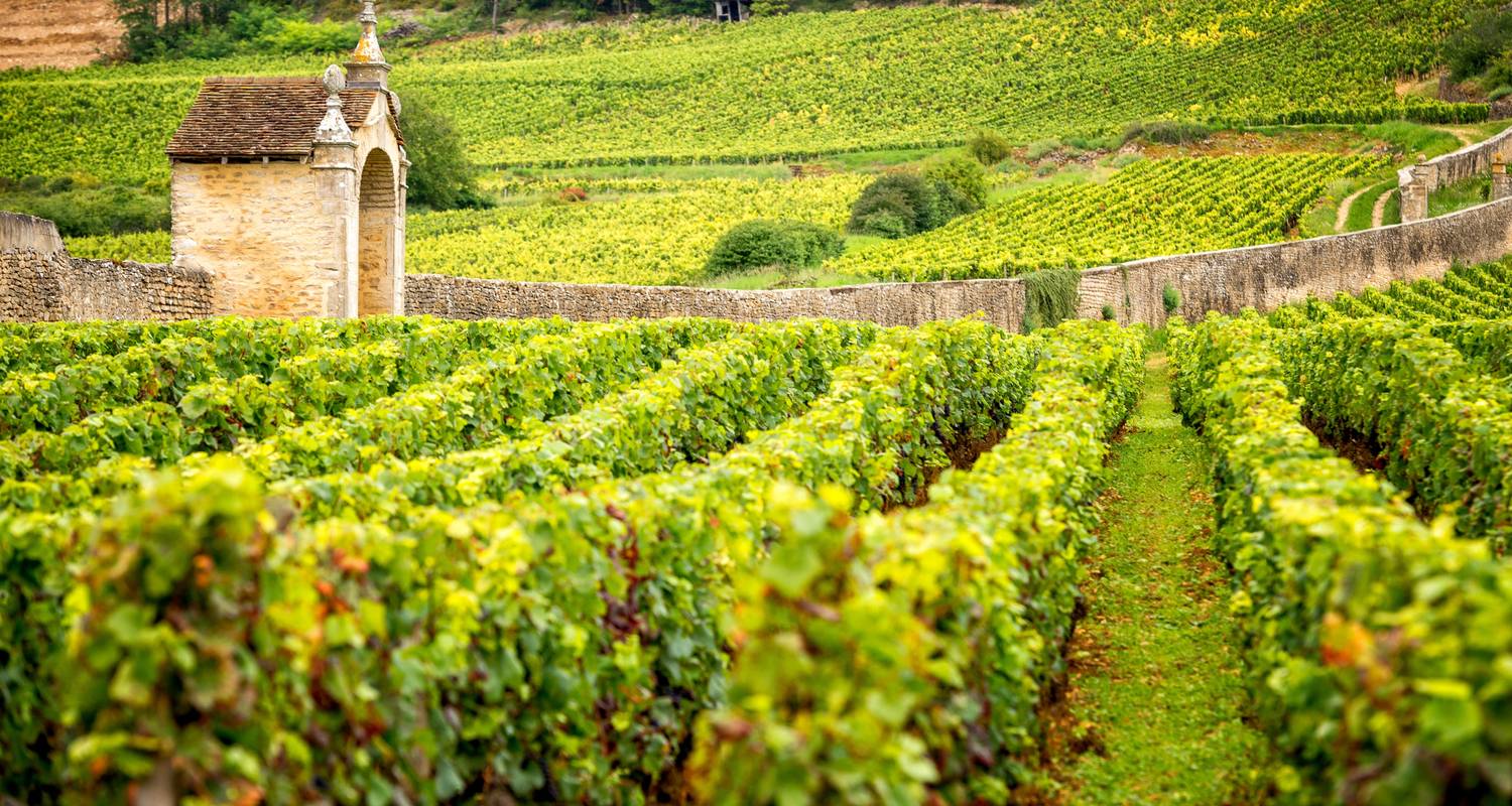 Radreise Grand Crus von Burgund - Exodus Adventure Travels