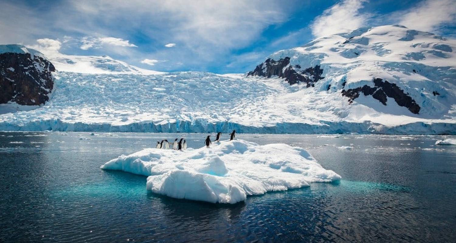 Antarctica & Falklands Expedition (Northbound) - Hurtigruten