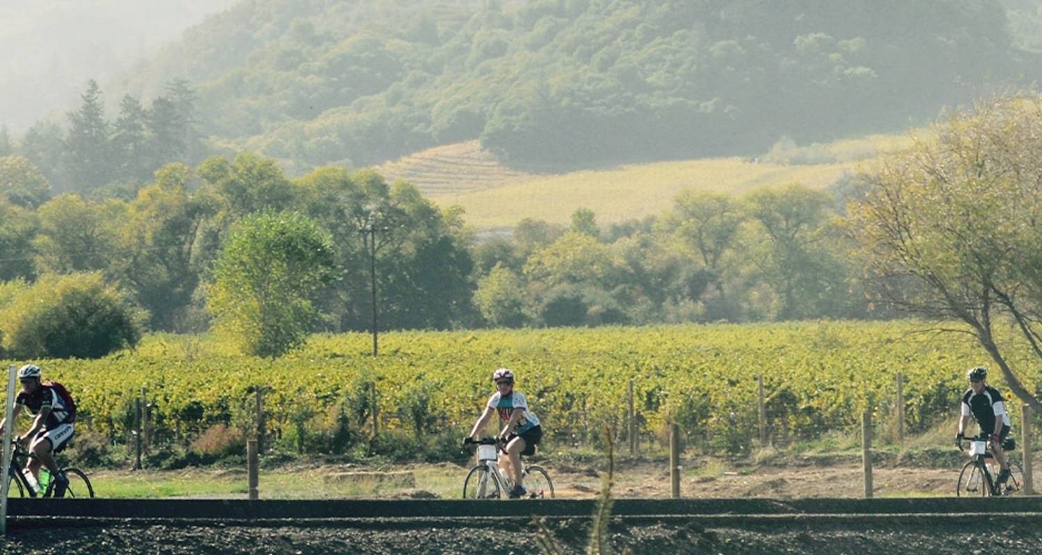 Cycle Sonoma & the Napa Valley - Intrepid Travel