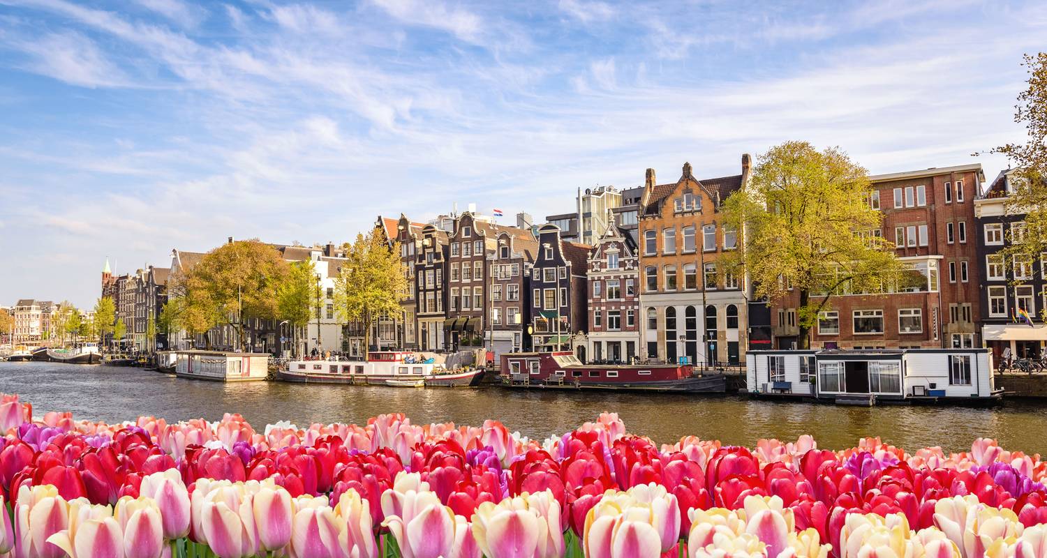 Croisière des tulipes - AMADEUS Brilliant (Amsterdam - Amsterdam) - Lueftner Cruises