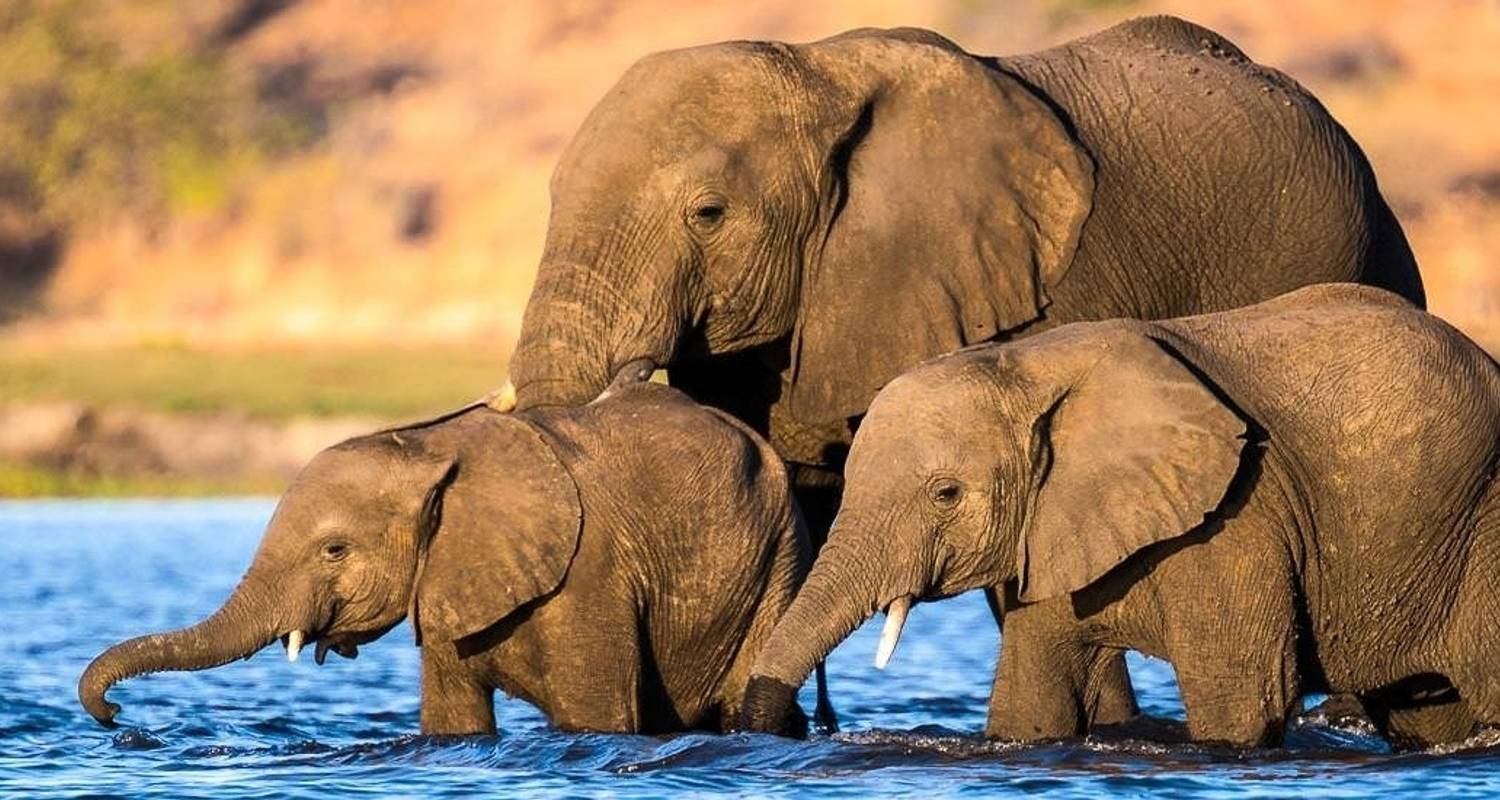 Intern. Vluchten Inbegrepen Rondreizen in Okavango