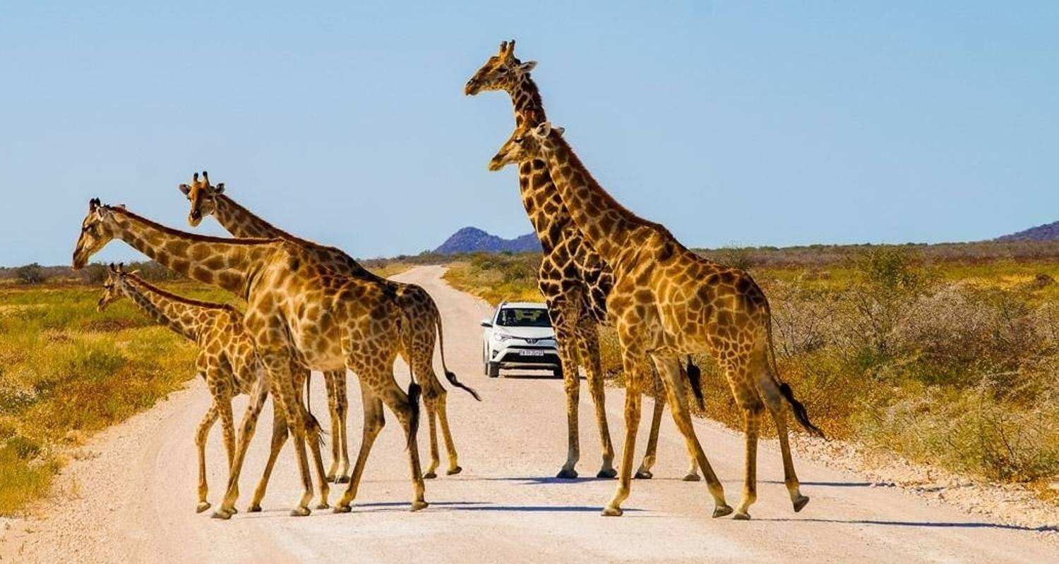 Jeep & 4WD Tours & Trips in Botswana and Namibia