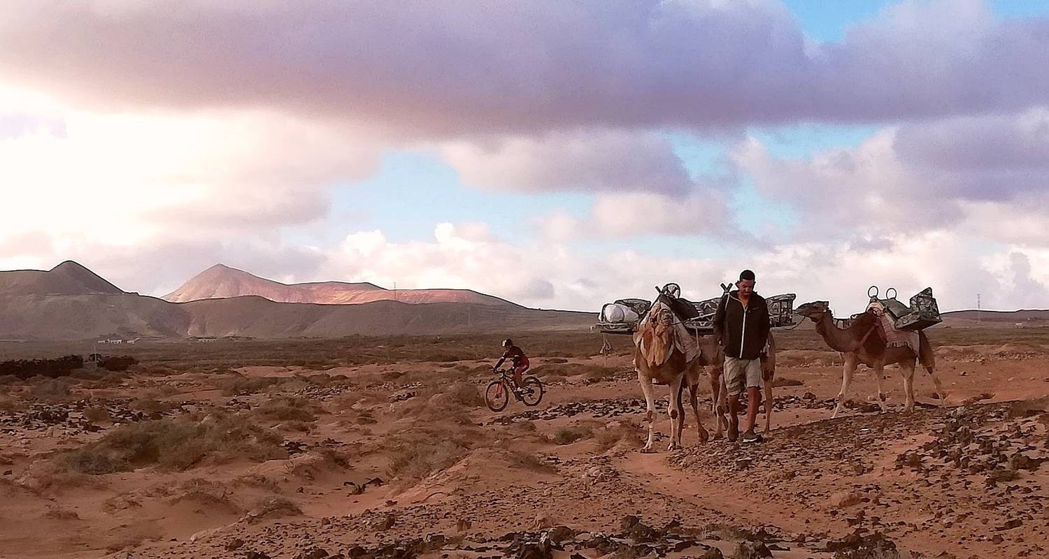 Fuerte Tracks MTB - Experience the diversity of the desert Island 8 Days