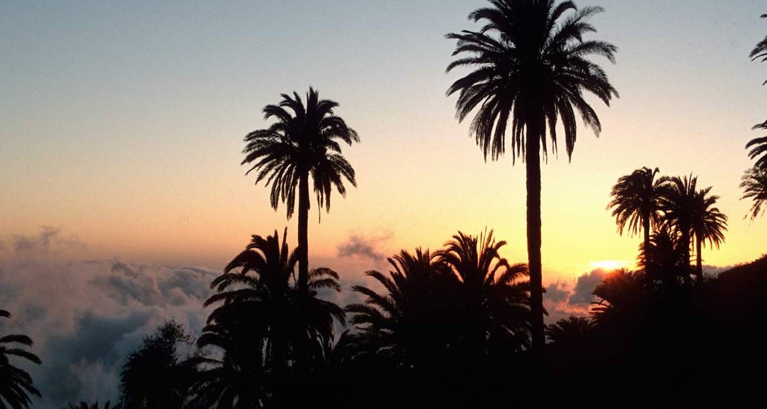 La Gomera - Botanical Paradise (8 days)