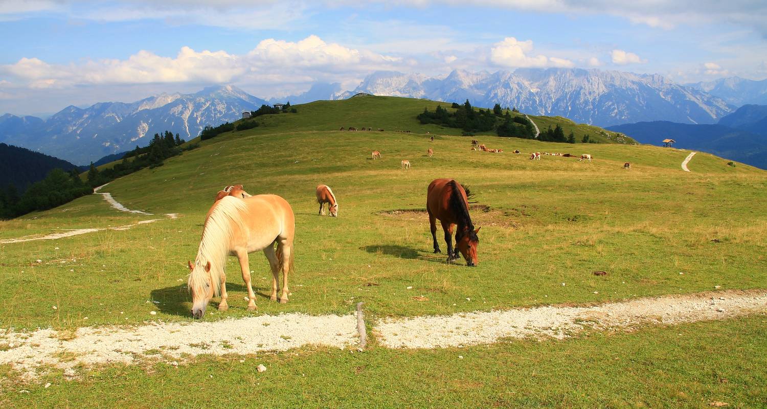 Bavarian Lakes Tour - Leisurely to the Munich Lakes 8 Days