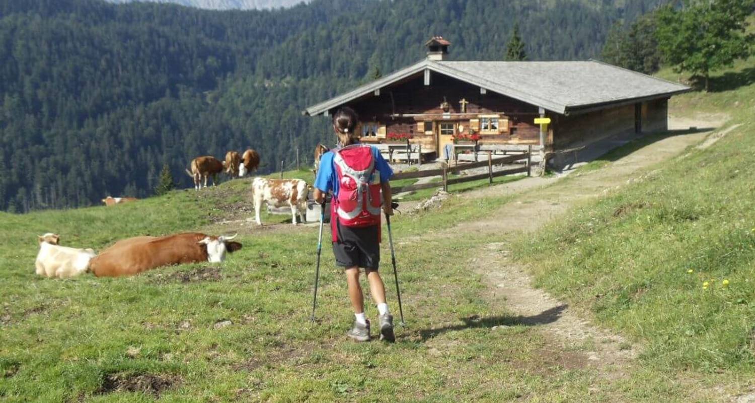 Bavarian Alps & Lakes in 8 Days