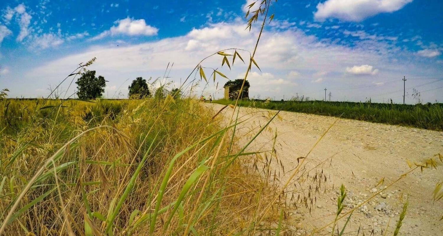 Innsbruck to Verona: From the Golden Roof to Romeo & Juliet (8 days)