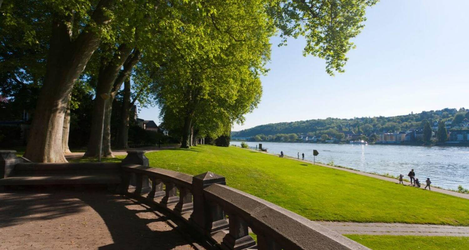Rheinsteig Trail: Mainz to Koblenz (11 days)