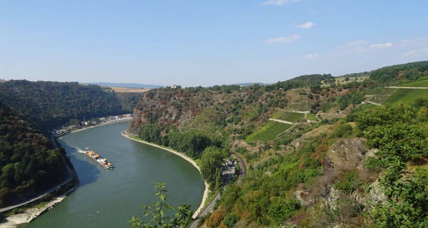 Rheinsteig Trail: Mainz to Koblenz (11 days)