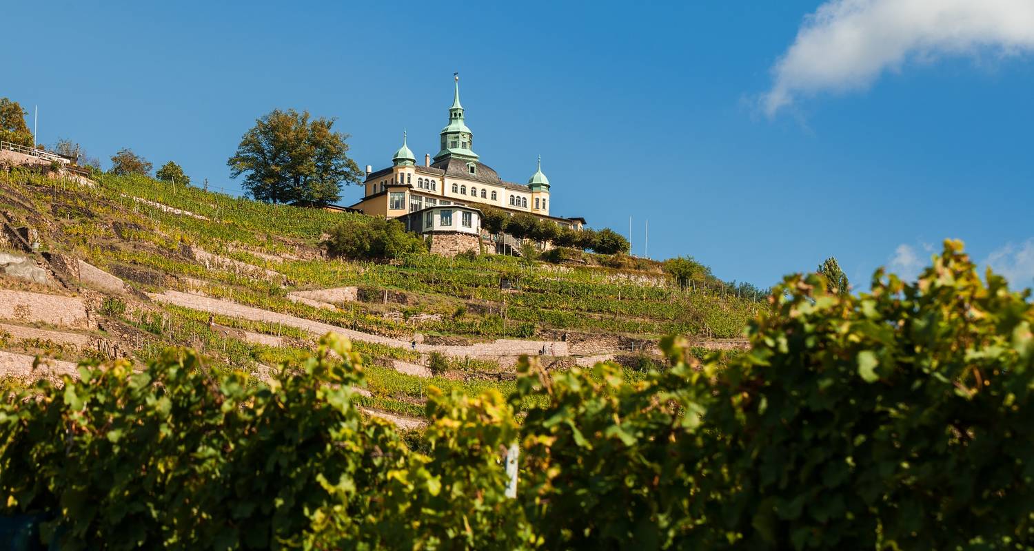 Wachau World Heritage Trail in 5 Days