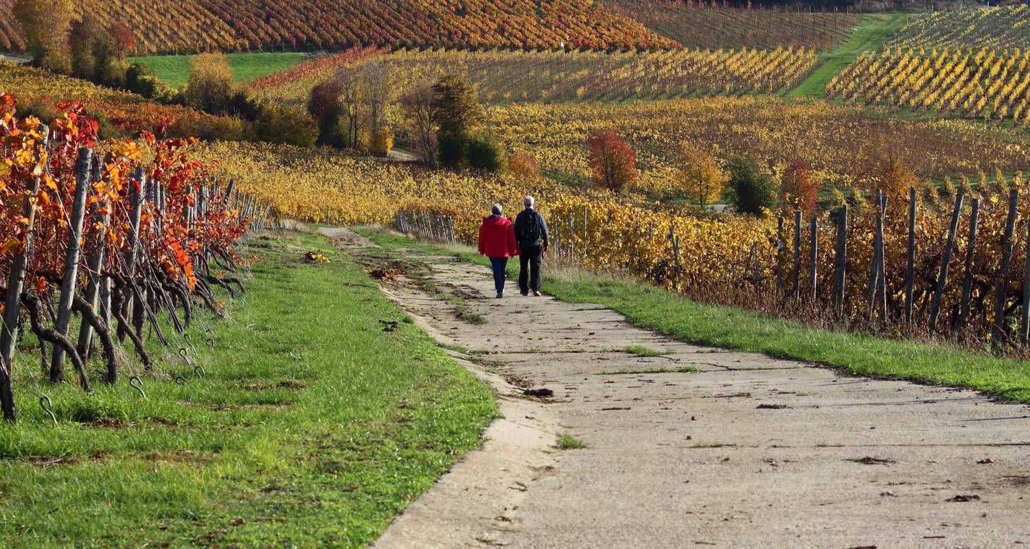 Wachau World Heritage Trail in 8 Days