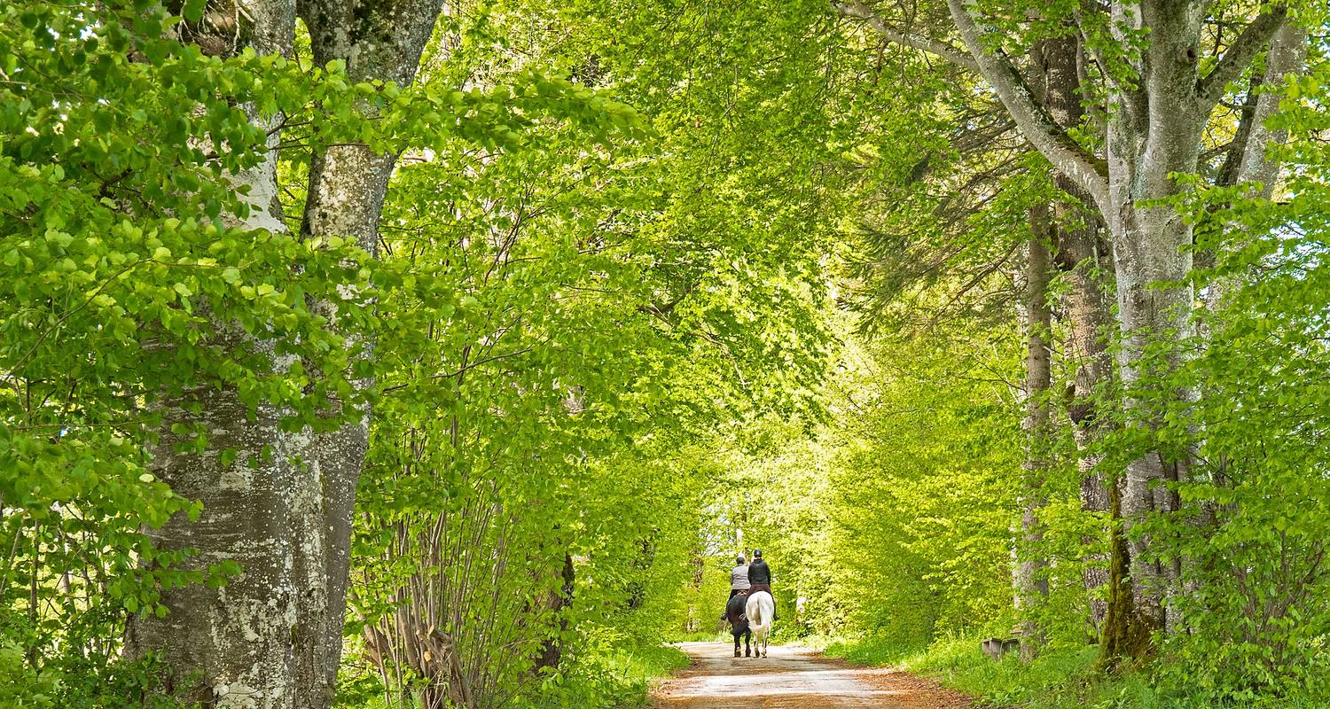 Jura-Höhenweg a "crooked Tour" for connoisseurs (7 Days)