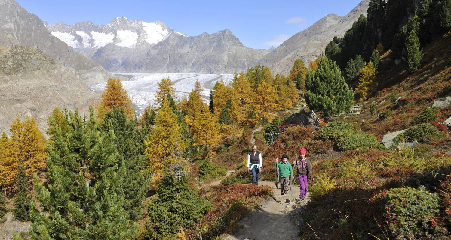 Aletsch Panorama Trail (6 days)