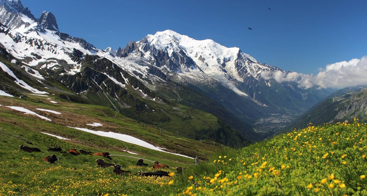 Mont Blanc West Tour - 7 days