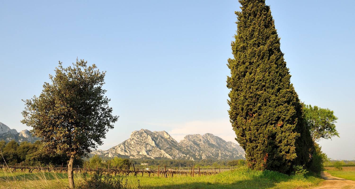 In the Footsteps of Van Gogh 7 Days