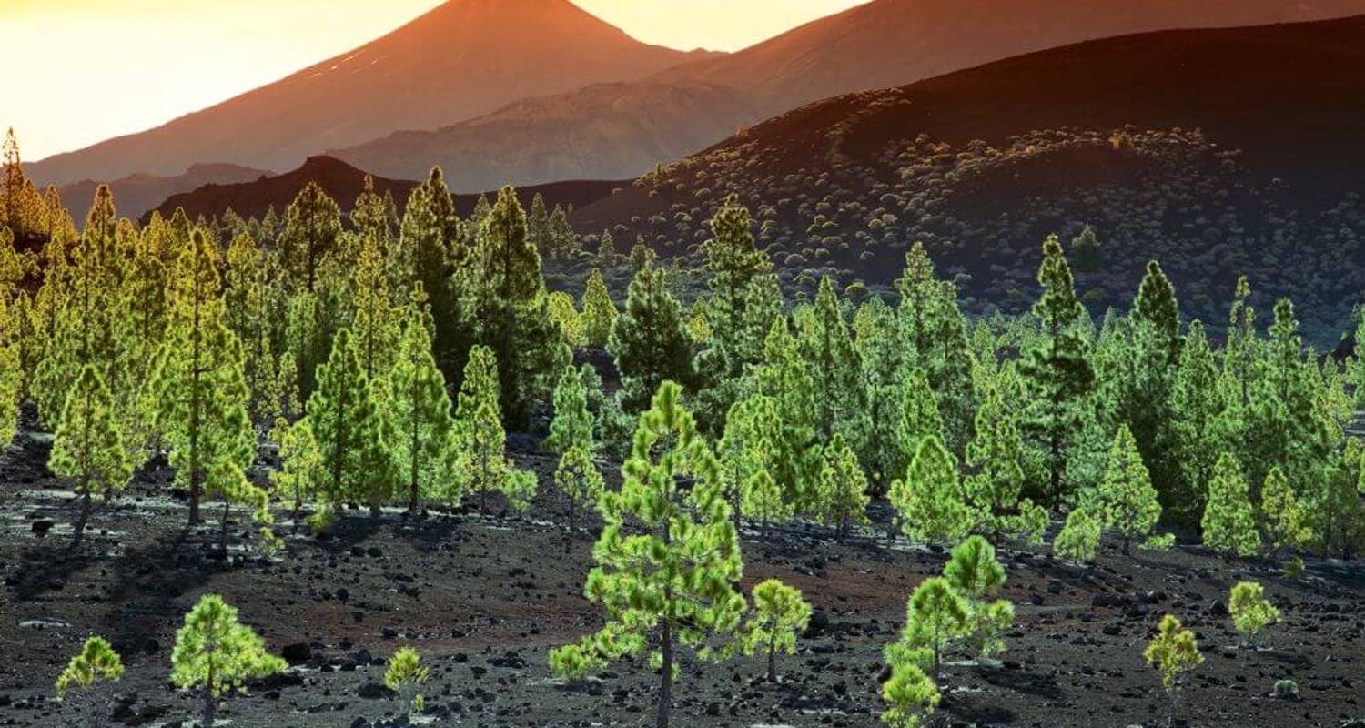 Tenerife - Volcanic Beauty (8 days)