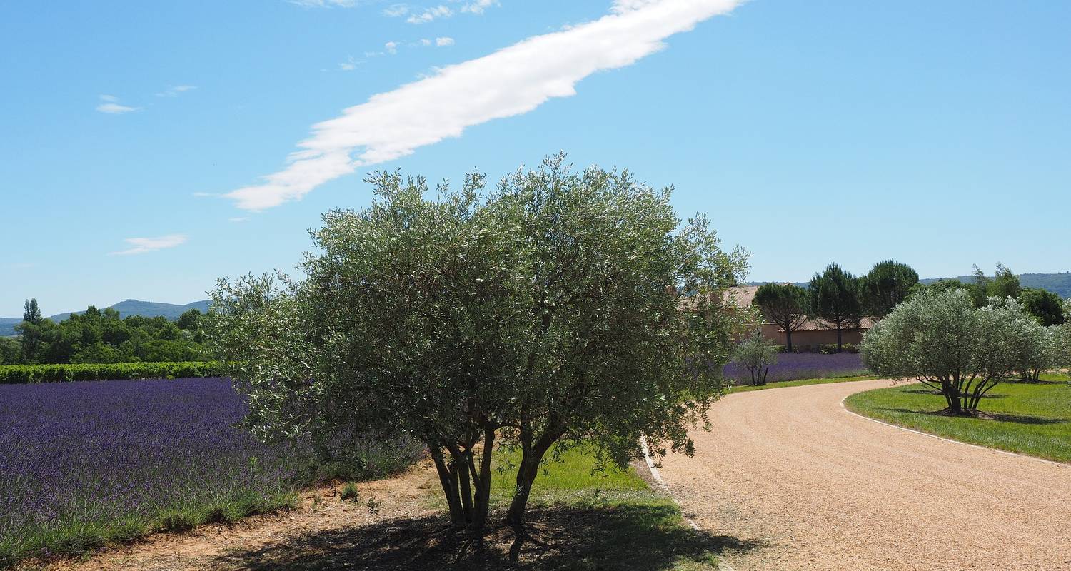 Luberon - the heart of Provence (8 days)