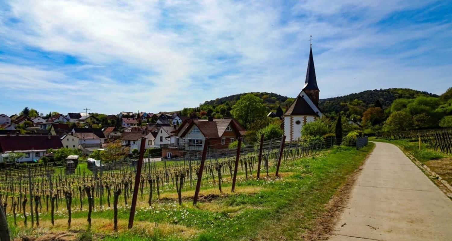 Rhine Cycle Path from Strasbourg to Mainz - 8 days