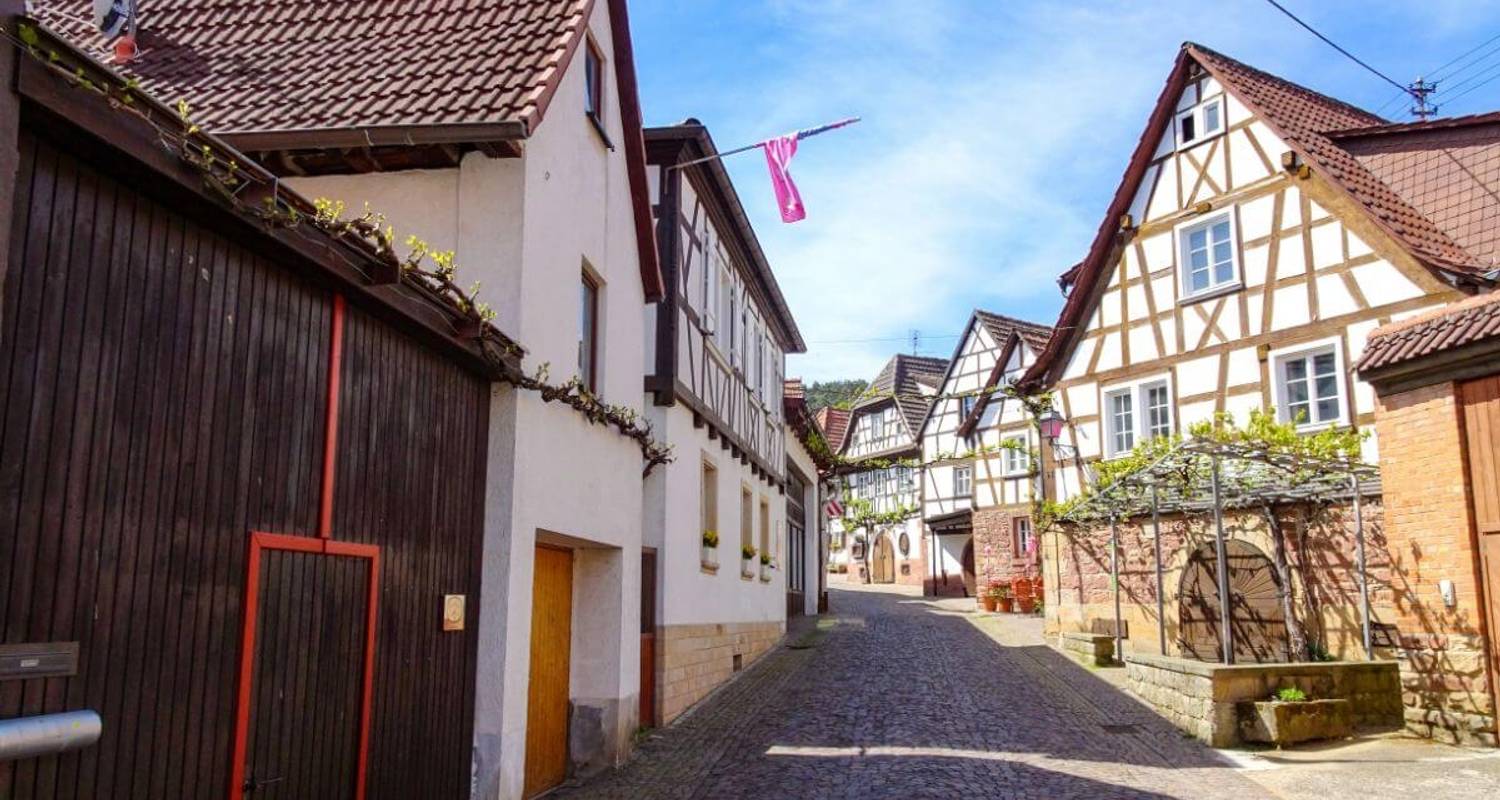 Rhine Cycle Path from Strasbourg to Mainz - 8 days