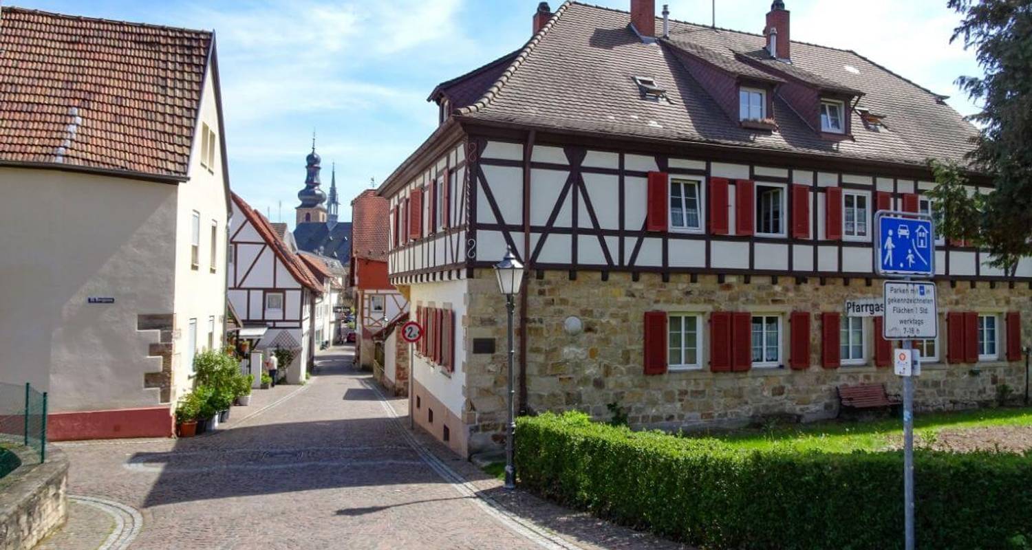 Rhine Cycle Path from Strasbourg to Mainz - 8 days