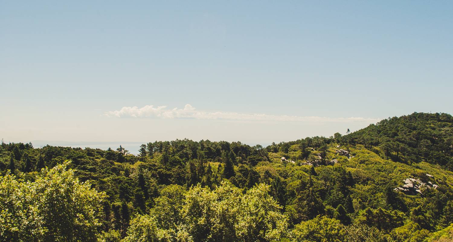 Lisbon to Cascais Tours