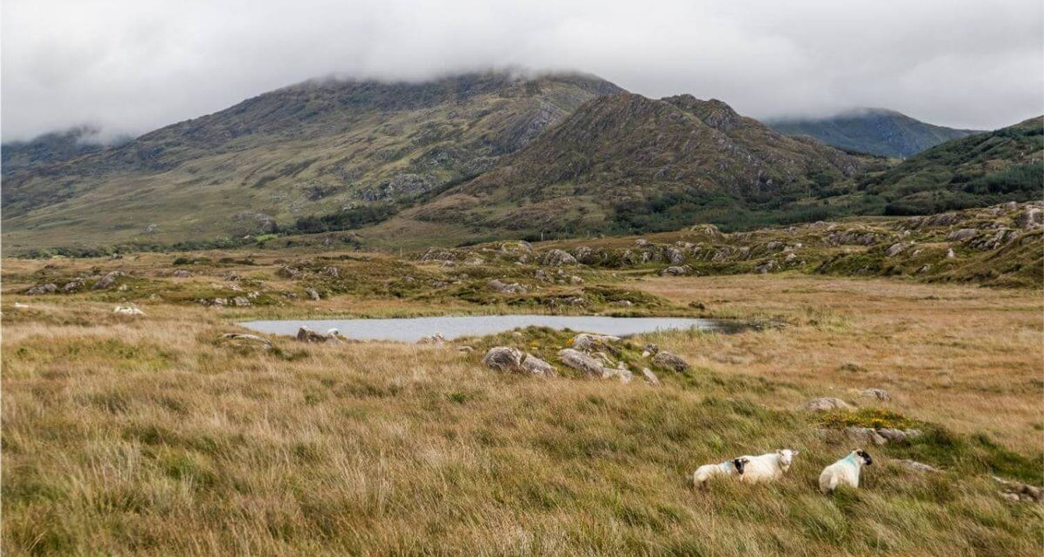 Ireland - Beara Way 8 Days