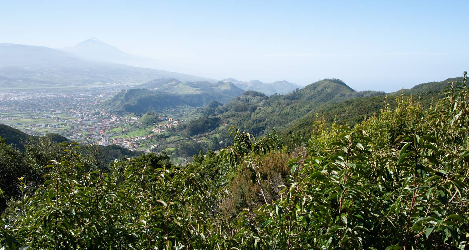 Hike Tenerife