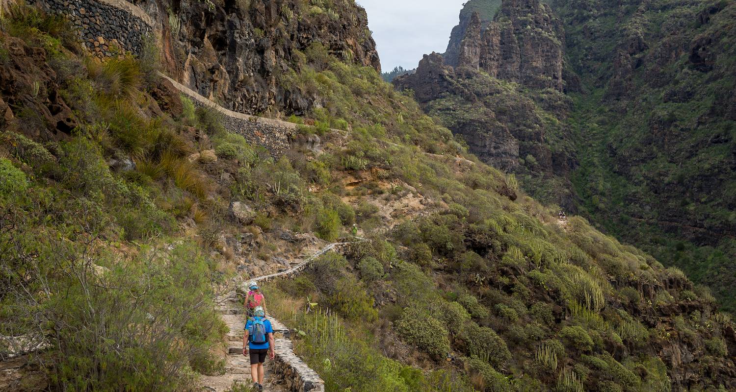 Hike Tenerife
