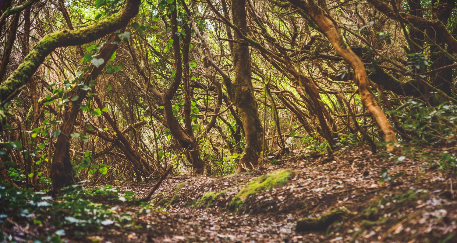 Spanien Rundreise im Januar 2026