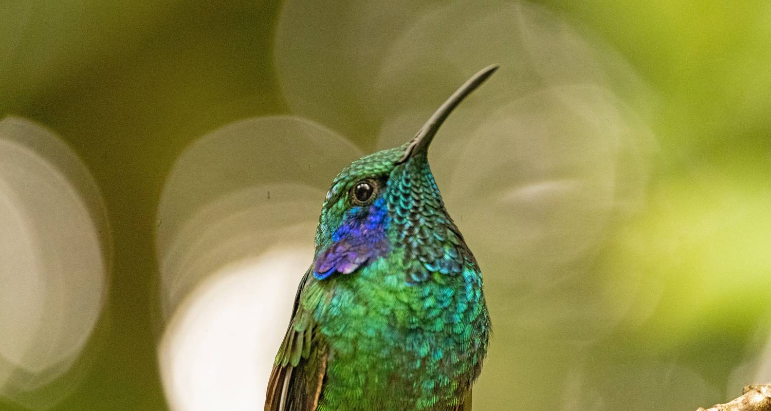 Circuits dans le Parc national Manuel Antonio